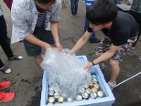 pict (63)